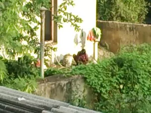 ट्यूटर ने छात्र के ल ...