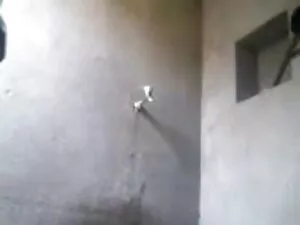 शानदार हिंदी सेक्सी  ...