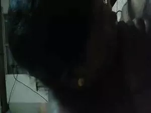 जेनी मैसर - घर का से ...