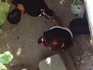 कितनी प्यारी बिल्ली  ...