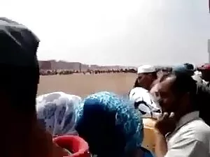 वीडियो का एक चयन। हर ...