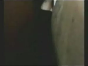 संचिका बीबीडब्ल्यू द ...