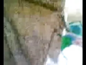 गोरा एलीसन हिंदी सेक ...
