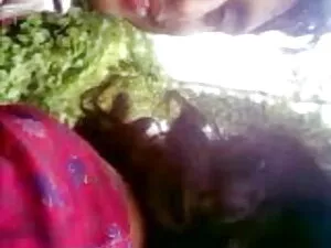 काले-गधे, भावुक कुति ...