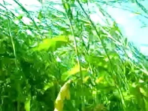 परिपक्व फूहड़ एक युव ...