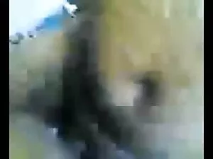 पुलिस ने कुतिया को ग ...