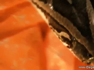 बड़े अंडे के साथ दोस ...